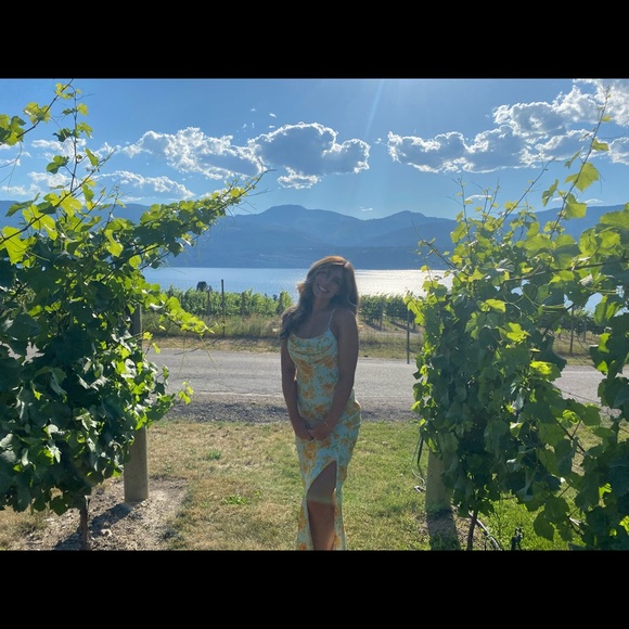 Billy J Boutique, Ariana Midi Dress - Picture 6 of 7